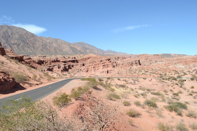 それにしても、サルタは寒暖差が激しい。朝は日本の冬と同じくらい寒くて凍えるのに、昼間は日差しが強くて半袖でも大丈夫なくらいだ。