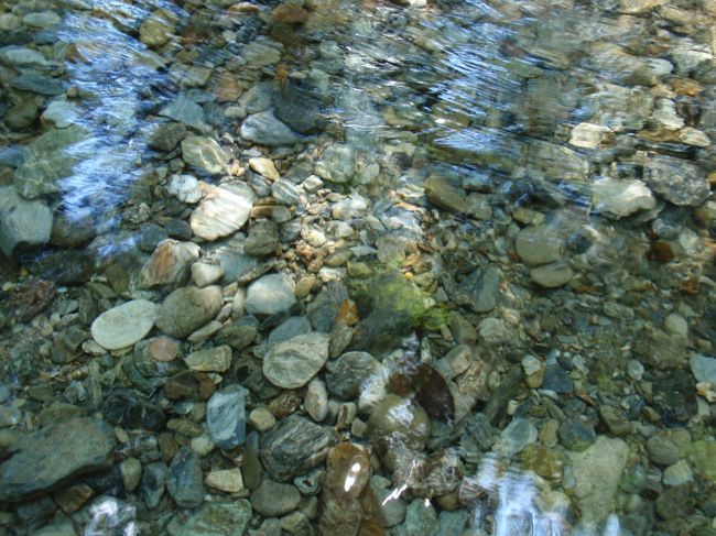 水は透明で冷たく、小さな魚が泳いでいました。