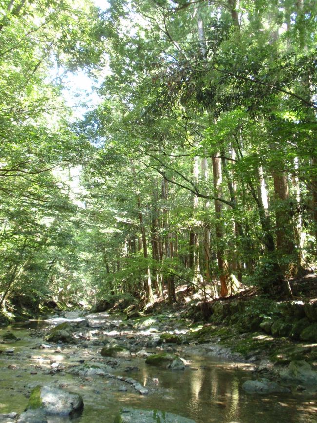 川の中をずーっと上流まで<br />歩いていけそうな…。