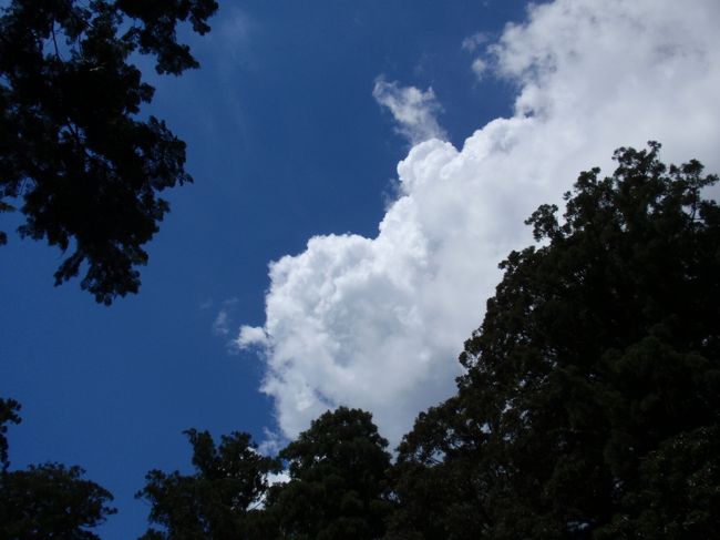 木々が途切れる宮の周り。<br />見上げると夏空。