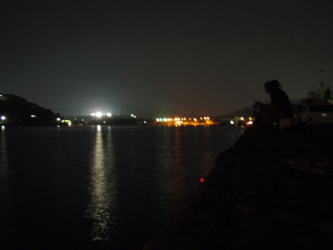 夜釣りを楽しむ人たちが大勢いました。