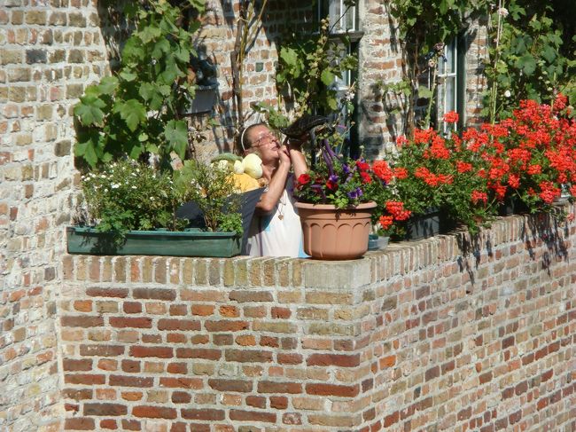 カメに日向ぼっこさせて、遊んであげてる人発見。<br />抱っこして高い高いしたり体操させたりしてる。<br />びっくりした。