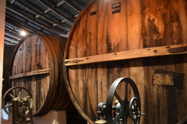 ワイナリーへ。<br />カファジャテはワインの産地で有名。