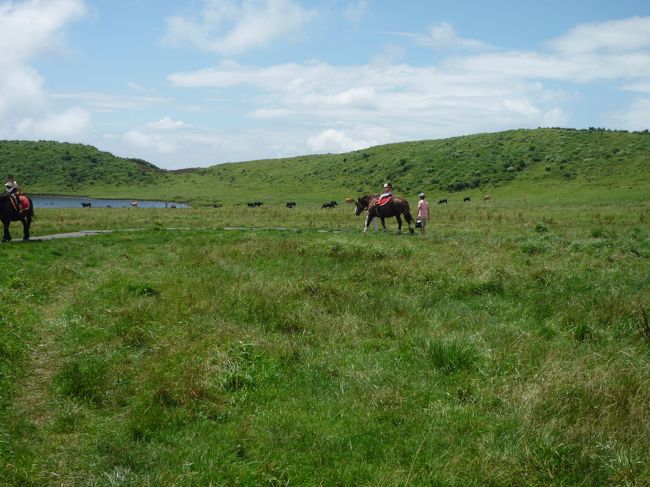 私も子どもの頃以来、久しぶりです。<br />子どもが馬に乗りたいと・・・。