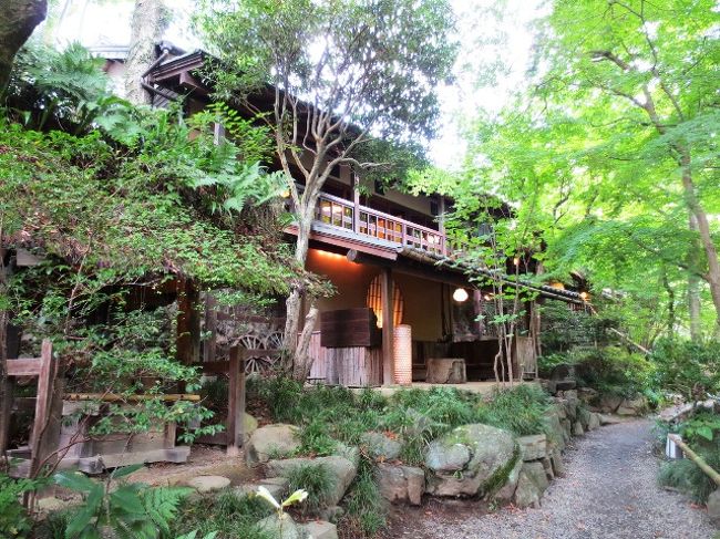 大人の夏休み 東京 ちょっぴり贅沢な休日 武蔵五日市 黒茶屋 瀬音の湯 あきる野 秋川渓谷 東京 の旅行記 ブログ By みかりさん フォートラベル