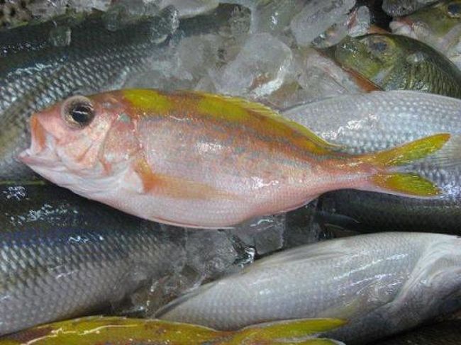 これが、　‘ビタロー’　だ！！<br /><br />いきがいいのが、わかりますよね〜〜〜〜〜　ビタロー君、美味しいです。ごちそうさま。