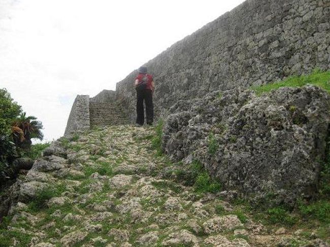 一の曲輪へと続く石段・・・・この石段をあがれば頂上です。　まだ、頑張る義母。