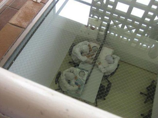 最後の検品作業〜〜〜上から、みんなに覗かれてます。<br /><br />ここの塩は、すべてが手作業。<br />貴重な塩ですよ。