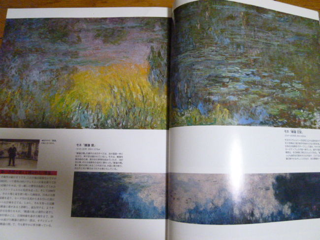 絵の具の塗り方が大胆なので遠くから見た方がいいかもしれないです。<br />中央にベンチがあるのでゆっくり座って鑑賞できました。<br /><br />オランジュリー美術館自体は規模が小さめで鑑賞疲れしないので、美術鑑賞は苦痛だけど少しは見てみたい、という方にもオススメです。<br />だいたい1時間あれば十分鑑賞できそうです。