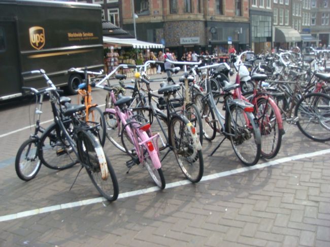 次に来る機会があればぜひレンタ・サイクルしよっと。