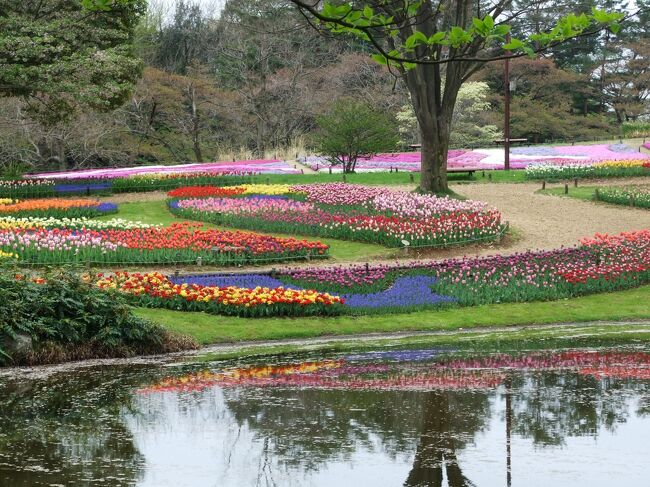 水に反射してとても綺麗だ。