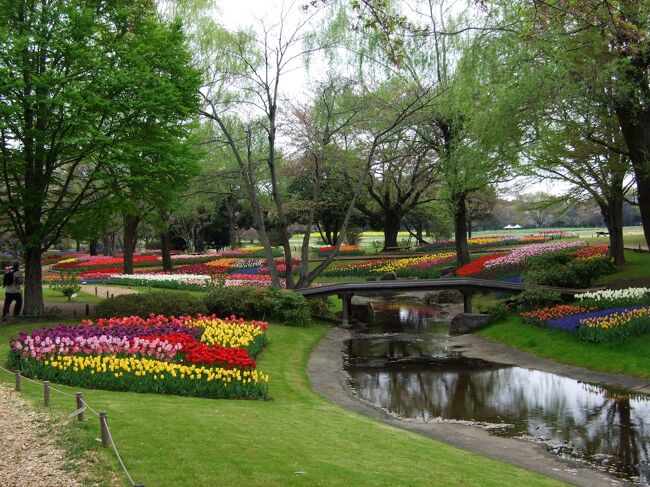 最近は量よりも質を考えて植えているようだ。