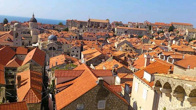 ドブロブニクの景色と言えばこんな感じ。でも暑い。途中しぼりたてのオレンジジュースを飲み休憩。でも暑い。城壁を降りて、フランシスコ会修道院の薬局で石鹸とバラ水を買う。聖母被昇天大聖堂、スポンザ宮殿、聖ウラボ教会を見る。ピザを買いホテルに戻り荷物をピックアップして、スプリットへ行くため長距離バスターミナルに行く。