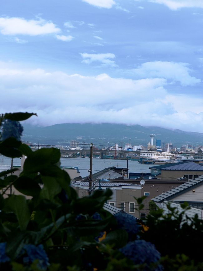 ちょっと狭いけど、宿泊した窓の外に立ってみた。<br /><br />遠くに五稜郭タワーが見えました♪