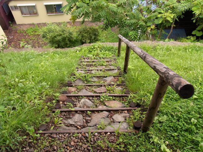 高台に建てられているため、あまり広くはないお庭です。<br /><br />階段があったけど、下の道は猫が通れるほどのスペースしかありません！<br /><br />何のための階段かしら。。。？