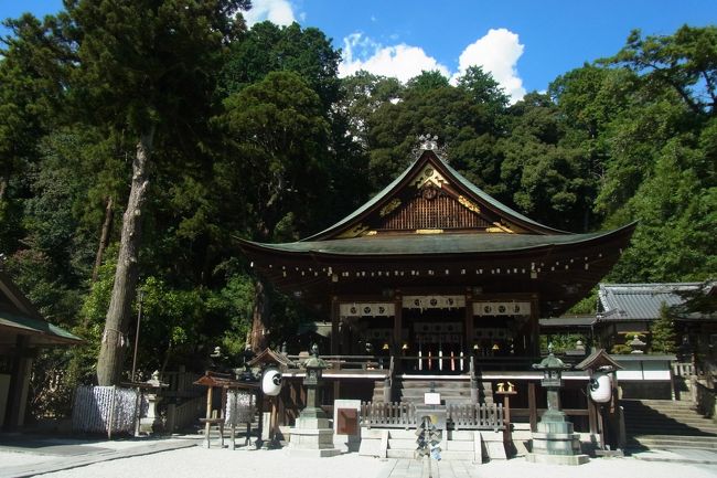 とりあえず、街中を1.5往復しても、たいした距離・時間ではないので、日牟禮八幡宮にもお参りに行きます。周りを立派な老木に囲まれていて、月日を感じさせます。