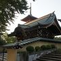 下北半島から青森・仙台へ（三日目）～仙台の七夕は方向感覚がおかしくなるような不思議な浮遊感