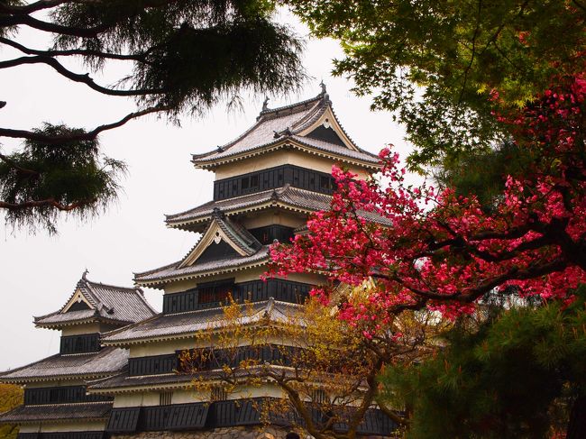 結局、行くところがなくなって、松本城に戻ってきました。