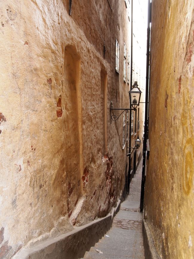 ここが一番狭い道です。90cmほどだというので<br />大きな人は本当に通れないと思いますｗ