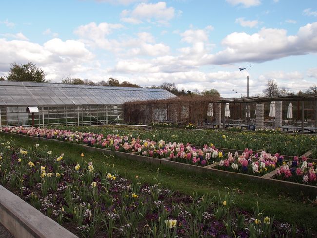 キレイな花壇とスウェーデンの空。