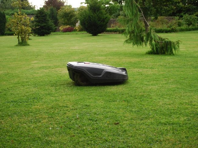 その一翼を担っているのが、自動芝刈り機。<br /><br />ルンバの外バージョンですね。