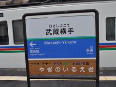 下り電車と交換です。
ヤギのいる駅です。(笑)