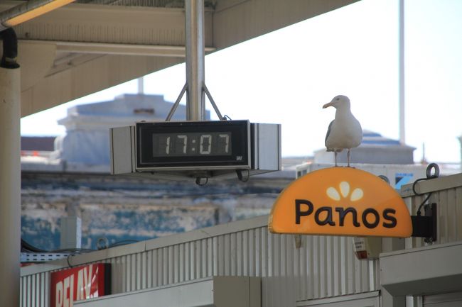 オステンド到着<br />パン屋さんの看板にかもめ<br />海に面した駅です。