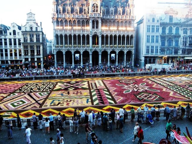 ８時から市庁舎のバルコニーで、フラワーカーペットの鑑賞です。<br />皆で入った時、割り込みを喰らいました…<br />それとも、それは再入場のときだったかな？<br />ともかく、最初に見た時はがっかりしたのですが…<br />早朝に植替えしたってブログでみつけました。<br />それは、ご苦労様です〜暑さが強烈だったから、植替えしても傷みやすかったのでしょう。