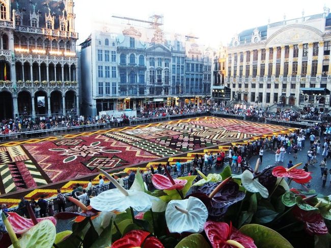 帰ってきてフラワーカーペットの冊子を見ていたら、バルコニーにはアンセリウムを飾ると書いてありました。