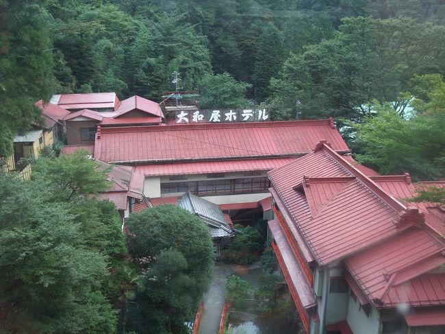 ２０１２バースデー 箱根 大和屋ホテル 宮ノ下温泉 神奈川県 の旅行記 ブログ By にゃーにゃーさん フォートラベル