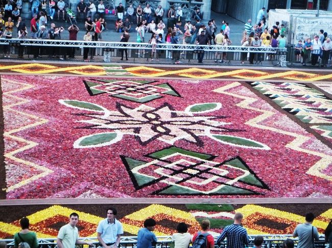 中心部分です。でも、全体的にパターンが小さいと思いました。