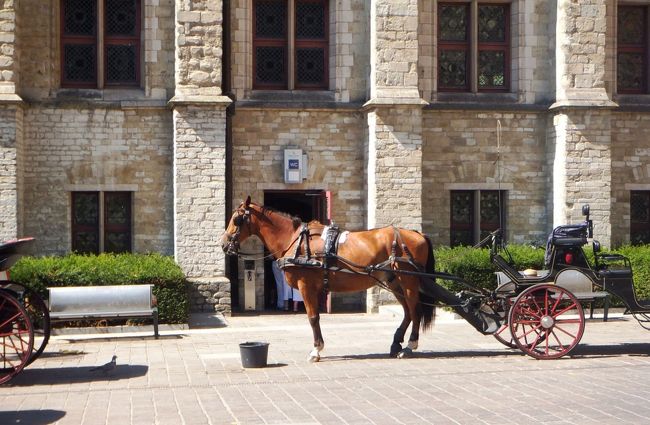 割合グッドタイミングで、馬車の写真が撮れました。