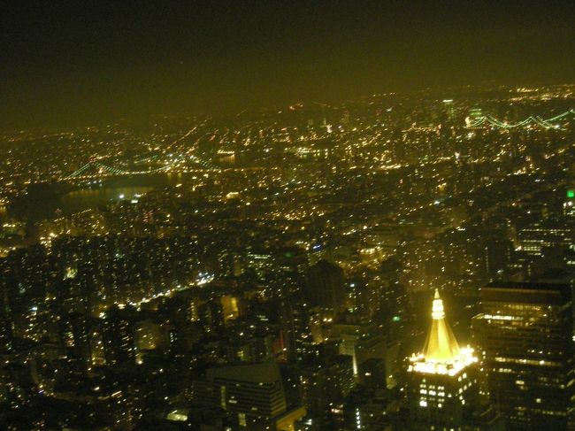 がんばって並んで、やっと見ることができた夜景は本当にきれいでした。