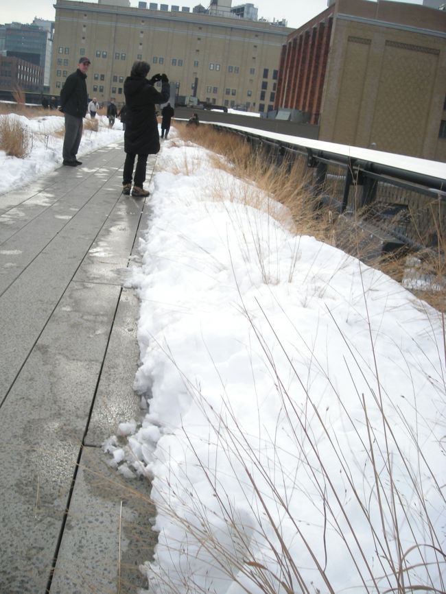 夏は緑もあっていい散歩道だそうです。<br /><br />夏に来たい！