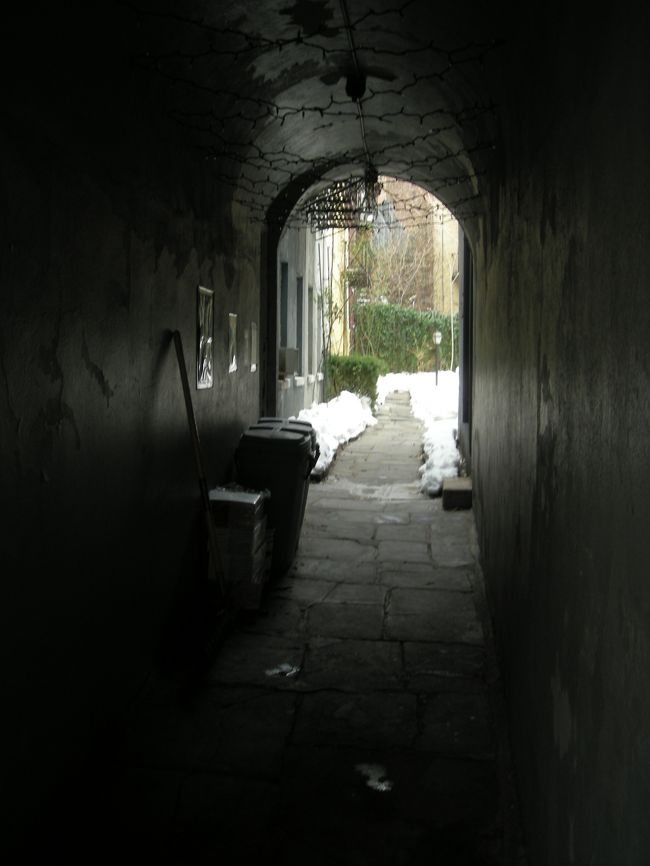 秘密の花園に続いてそうなところ。