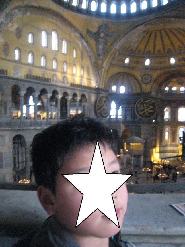 世界遺産に感動する我が子。<br /><br />やっといろいろな物の意味がわかるようになってきました。