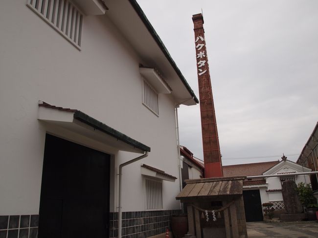 ハクボタンです。