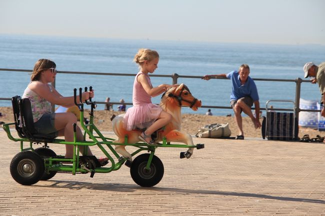 表紙の写真です。<br />可愛すぎる！