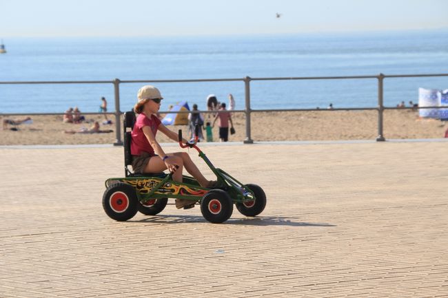 一瞬ゴーカートかと思った。