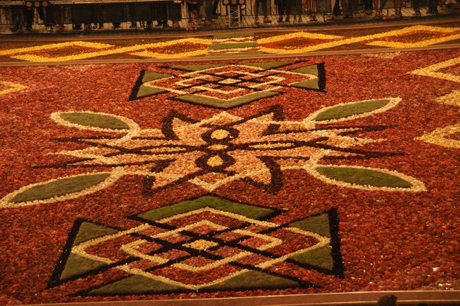 この度のフラワーカーペットは、色もデザインも不満です。（色はしようがないか…花を補充してあったそうです。それでも、がっかり〜）<br />私の写真は全部修正して、オリジナルは捨てたので<br />レディさんの写真で、更新していないのをひとつ拝借。（ビフォーになります）<br />いいカメラで撮っても、修正していないと私としてはこの色は気に入りません。