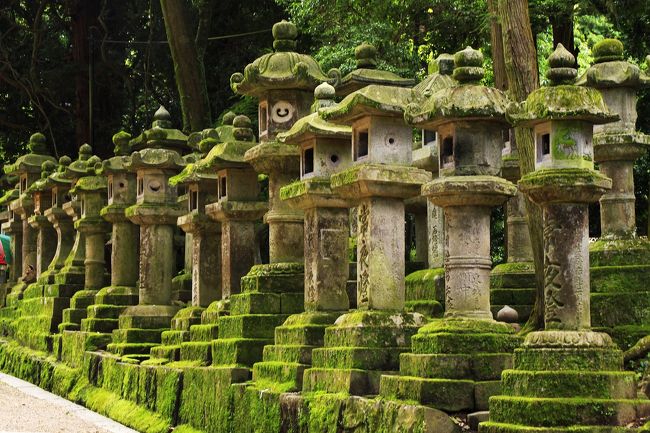 参道に立ち並ぶ石燈篭。