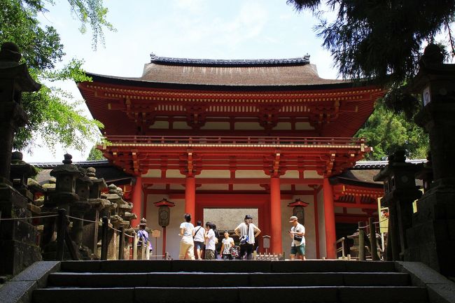 参道を歩き、春日大社の本殿前にある南門に到着しました。