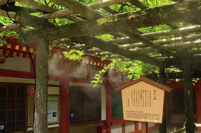 本殿の境内には「砂ずりの藤」と呼ばれる樹齢８００年ともいわれる藤棚があります。春日神社の社紋である「下がり藤」の由来となったものなのでしょう。