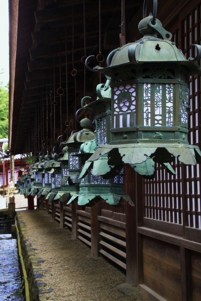 大社の回廊には、数百基にもおよぶ吊り燈篭が飾られています。