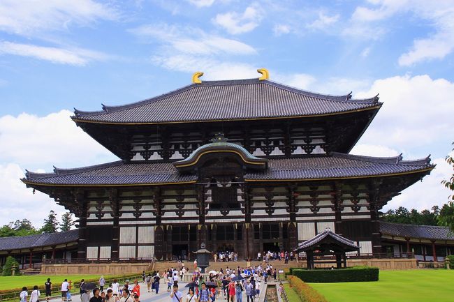 炎天下を歩いてきたので、汗だくになり、東大寺に到着。<br />久しぶりに世界遺産の大仏殿内部を見学することとしました。<br />奈良時代に築かれた大仏殿ですが、過去２度にわたり灰燼に帰したので、現在の大仏は江戸中期に再建された３代目となります。