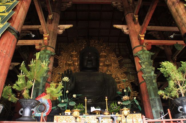 「奈良の大仏」で親しまれる本尊は高さ１５ｍにおよぶ巨大な像です。<br />さすが世界遺産だけあって、外国人の方も多く訪れていました。夏休み期間中のせいか、修学旅行生はほとんど見られませんでした。
