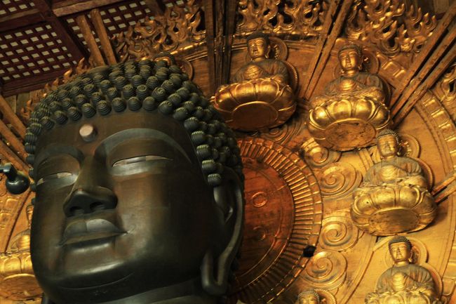 穏やかな表情をした大仏様の後ろ、後光の射す部分には小さな仏様が座っておられました。