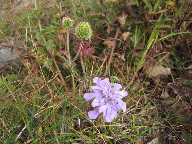 ぜーはーぜーはー言っててピントが合わず見れる写真は3枚のみ（笑）