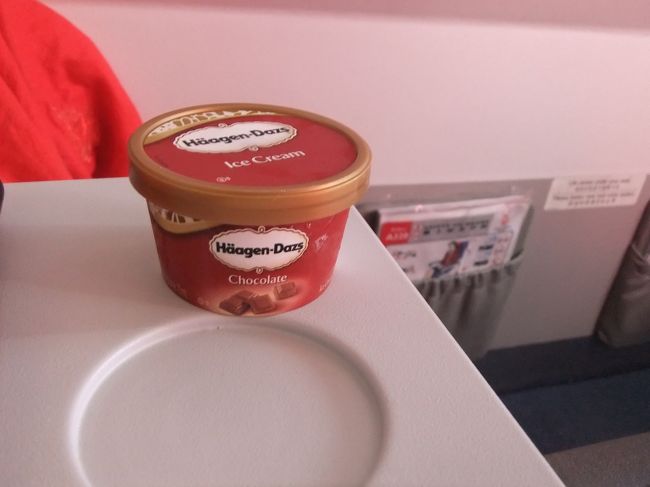 食後はハーゲンダッツが出た♪<br />チョコレート味でした。