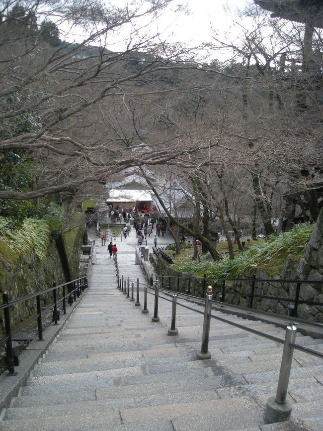 階段にかかっている桜？の枝がステキでした。<br />この枝のままも静かで謙虚な美しさがあったけど、これに花が咲いたらどうなるんだろうと思ったら、心うきうきでした。